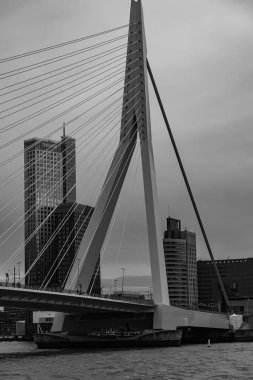 Hollanda 'nın Rotterdam kenti.