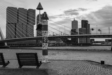 Pırasa nehri ve Rotterdam şehri.