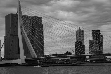Pırasa nehri ve Rotterdam şehri.