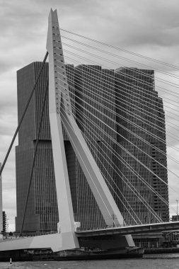 Pırasa nehri ve Rotterdam şehri.