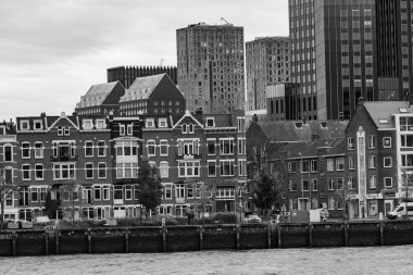 Pırasa nehri ve Rotterdam şehri.