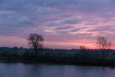 Pırasa nehri ve Rotterdam şehri.