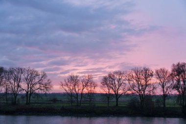 Pırasa nehri ve Rotterdam şehri.