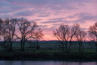 Pırasa nehri ve Rotterdam şehri.