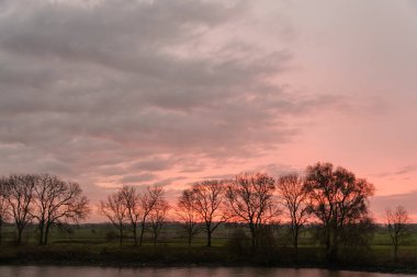 Pırasa nehri ve Rotterdam şehri.