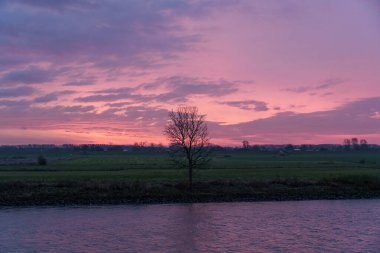 Pırasa nehri ve Rotterdam şehri.
