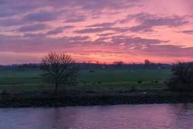 Pırasa nehri ve Rotterdam şehri.