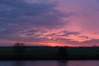 Pırasa nehri ve Rotterdam şehri.