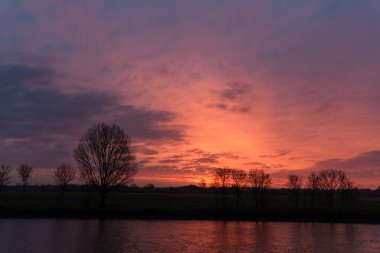 Pırasa nehri ve Rotterdam şehri.