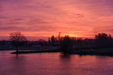 Pırasa nehri ve Rotterdam şehri.