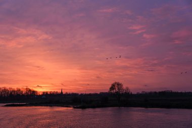 Pırasa nehri ve Rotterdam şehri.