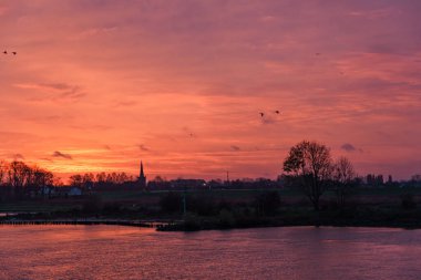 Pırasa nehri ve Rotterdam şehri.
