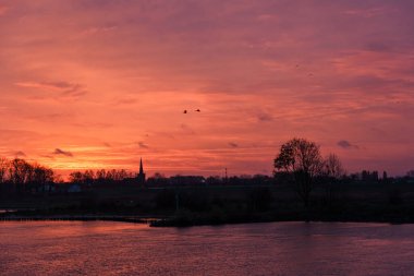 Pırasa nehri ve Rotterdam şehri.