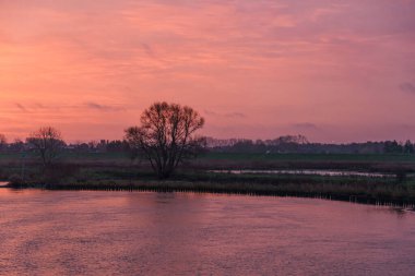 Pırasa nehri ve Rotterdam şehri.