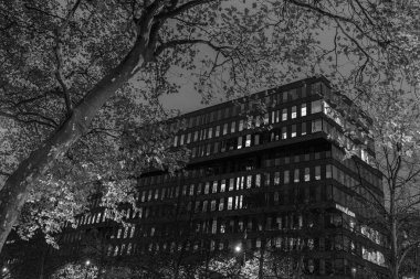 Geceleri Rotterdam şehri