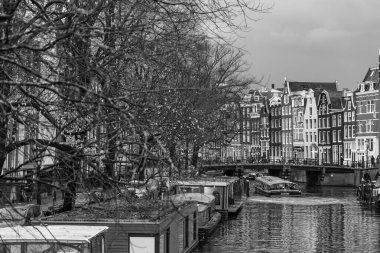 Hollanda 'daki Amsterdam şehri.