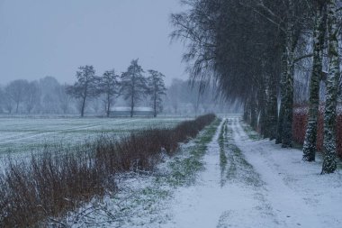 Alman Muensterland 'inde kış mevsimi