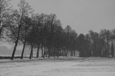 Alman Muensterland 'inde kış mevsimi