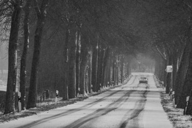 Alman Muensterland 'inde kış mevsimi