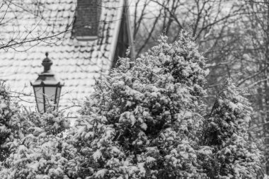 Westphalia 'da kış mevsimi