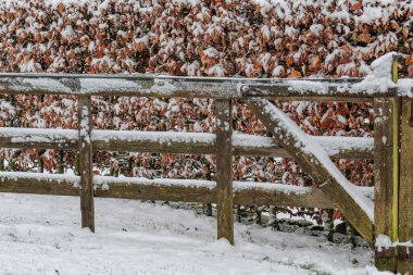 Westphalia 'da kış mevsimi