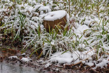 Westphalia 'da kış mevsimi