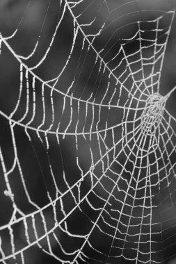 Alman Muensterland 'inde soğuk kış zamanı