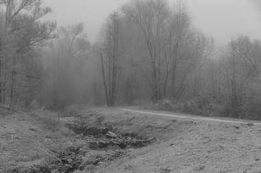 Westphalia 'da soğuk kış zamanı