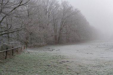 Westphalia 'da soğuk kış zamanı