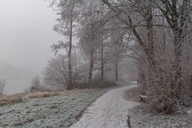 Westphalia 'da soğuk kış zamanı