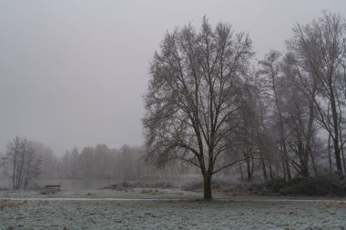 Westphalia 'da soğuk kış zamanı