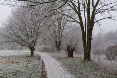 Westphalia 'da soğuk kış zamanı