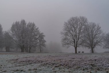 Westphalia 'da soğuk kış zamanı