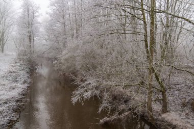 Westphalia 'da soğuk kış zamanı