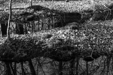 Almanya 'nın Fuerstenau şehrinde.