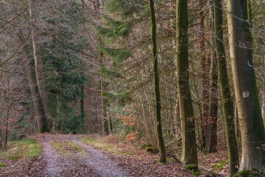 Almanya 'nın Fuerstenau şehrinde.