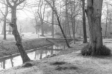 Alman Muensterland 'inde Velen yakınlarında yürüyüş.