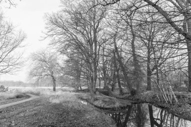 Westphlaia 'da Velen yakınlarında yürüyüş