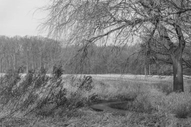 Westphlaia 'da Velen yakınlarında yürüyüş