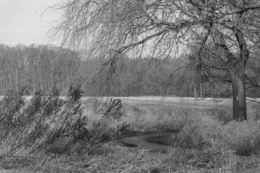 Westphlaia 'da Velen yakınlarında yürüyüş
