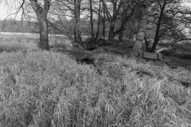 Westphlaia 'da Velen yakınlarında yürüyüş