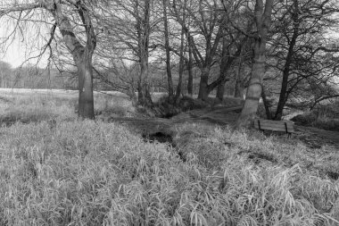 Westphlaia 'da Velen yakınlarında yürüyüş