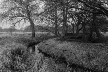 Westphlaia 'da Velen yakınlarında yürüyüş