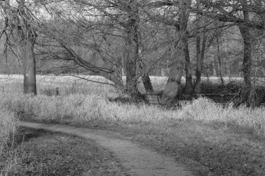 Westphlaia 'da Velen yakınlarında yürüyüş