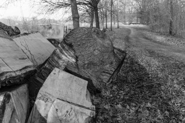 Westphlaia 'da Velen yakınlarında yürüyüş