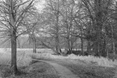 Westphlaia 'da Velen yakınlarında yürüyüş