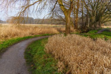 hiking near velen in westphlaia clipart