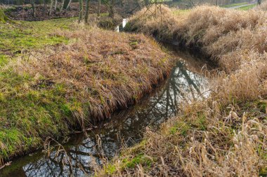Westphlaia 'da Velen yakınlarında yürüyüş