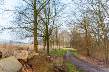 Westphlaia 'da Velen yakınlarında yürüyüş