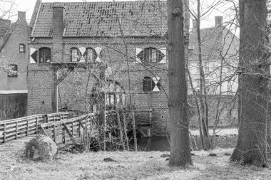 Bahar zamanı Barlo 'da Bocholt yakınlarındaki Westphalia' da